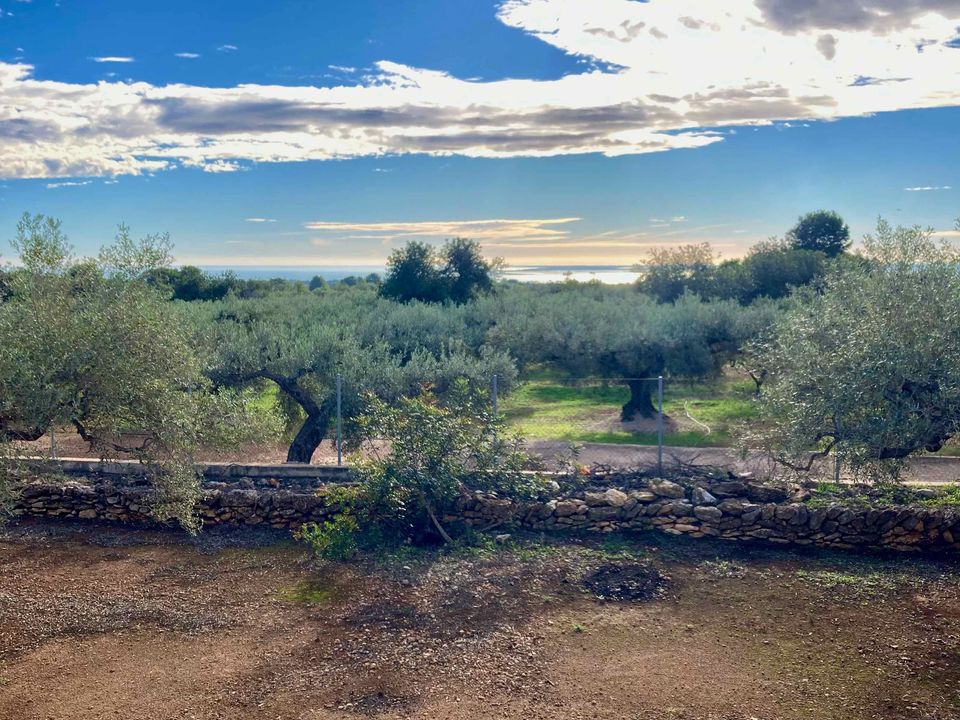 Finca i El Perello, Tarragona - bilde 2
